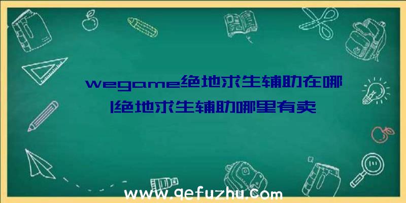 「wegame绝地求生辅助在哪」|绝地求生辅助哪里有卖